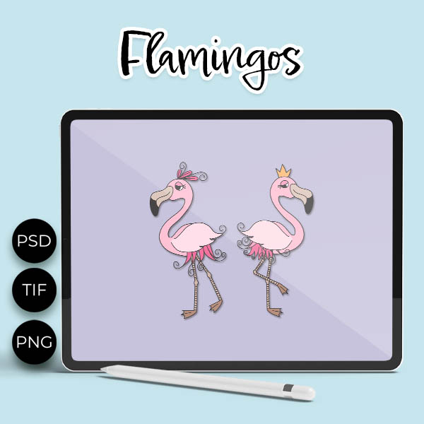 (image for) Flamingos - Click Image to Close